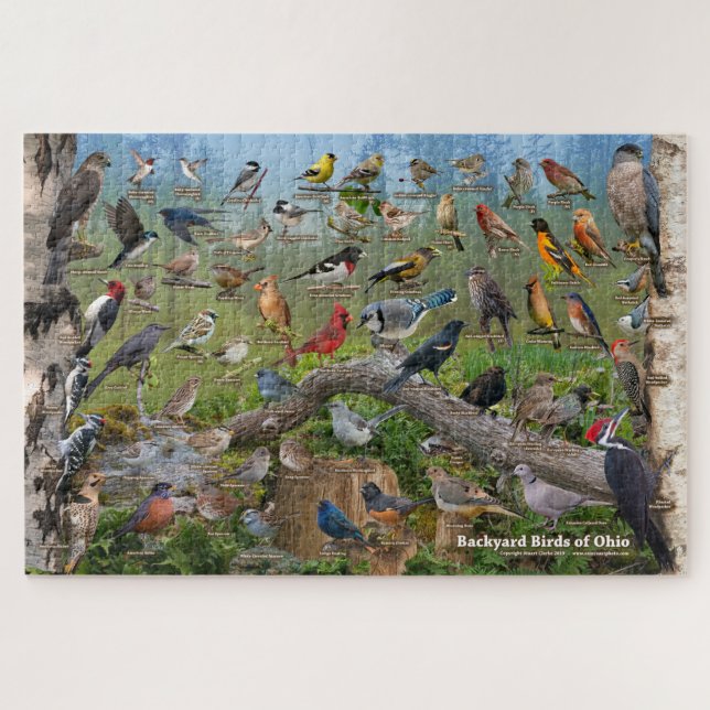 Backyard Birds of Ohio Puzzle (Horizontal)