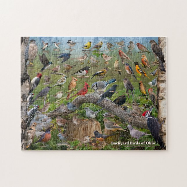 Backyard Birds of Ohio Puzzle (Horizontal)