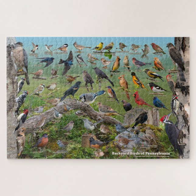Backyard Birds of Pennsylvania Jigsaw Puzzle (Horizontal)