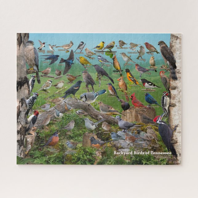 Backyard Birds of Tennessee Jigsaw Puzzle (Horizontal)