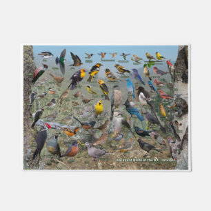 Backyard Birds of the BC Interior Doormat