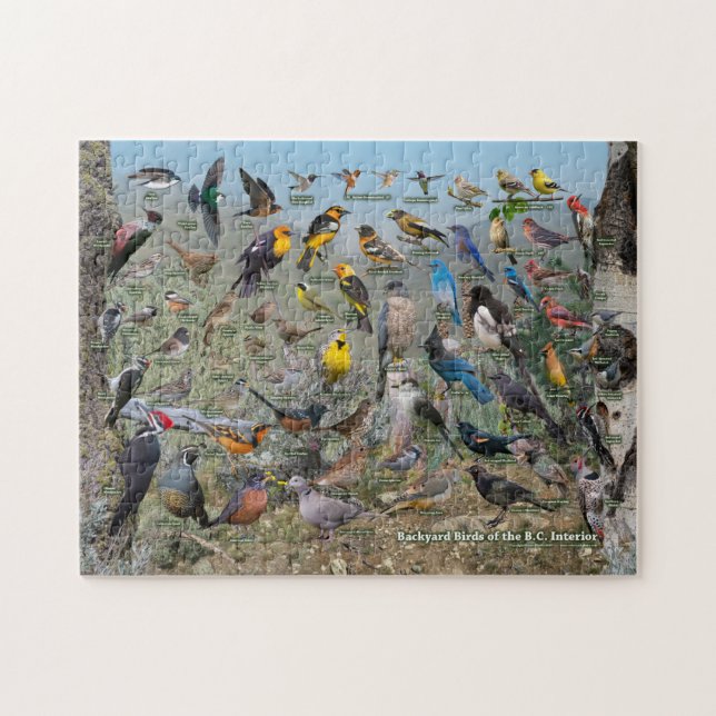 Backyard Birds of the BC Interior Jigsaw Puzzle (Horizontal)
