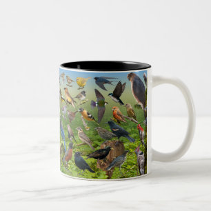 Backyard Birds Of the West Two-Tone Coffee Mug