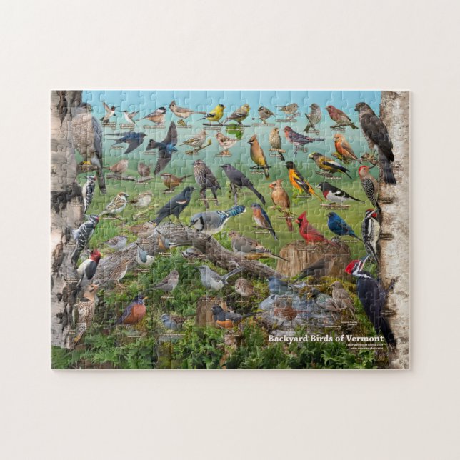 Backyard Birds of Vermont Jigsaw Puzzle (Horizontal)