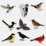 Backyard Birds Sticker Set