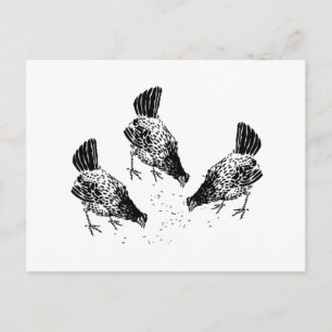 Backyard Chickens Postcard