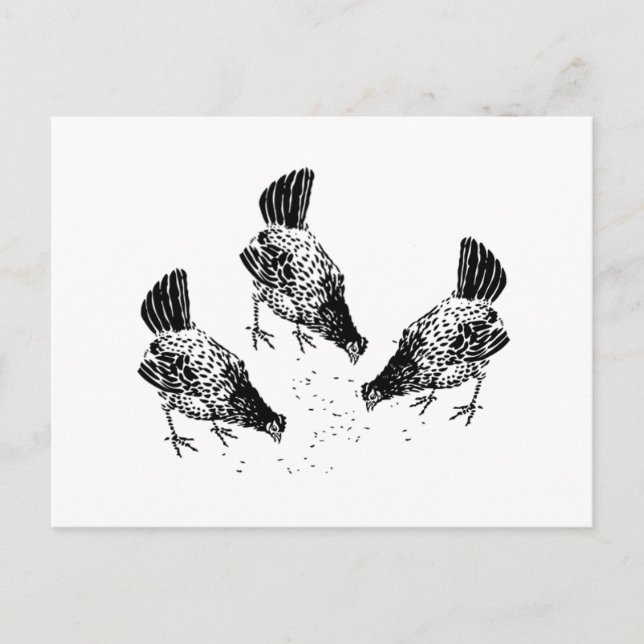 Backyard Chickens Postcard (Front)