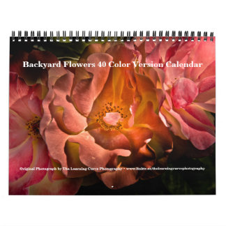 Backyard Flowers 40 Colour Version Calendar