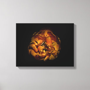 Backyard Flowers 80 Colour Version Canvas Print