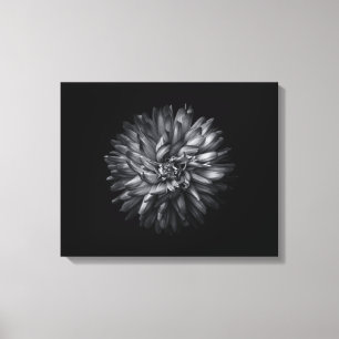 Backyard Flowers In Black And White 20 Canvas Print