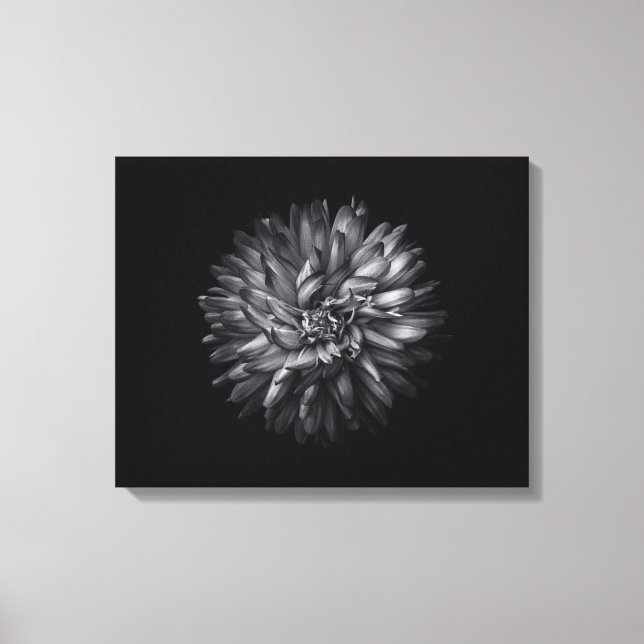 Backyard Flowers In Black And White 20 Canvas Print (Front)
