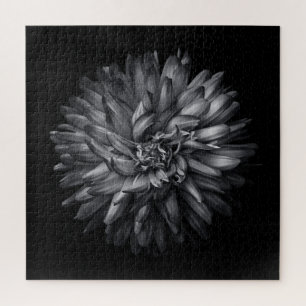 Backyard Flowers In Black And White 20 Jigsaw Puzzle