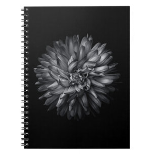 Backyard Flowers In Black And White 20 Notebook