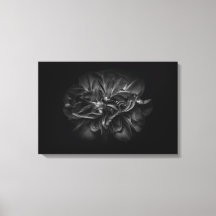 Backyard Flowers In Black And White 67