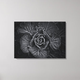 Backyard Flowers In Black And White No 108 Canvas Print