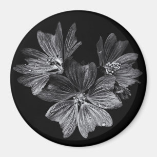 Backyard Flowers In Black And White No 11 Magnet