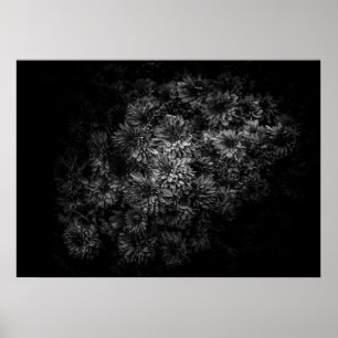 Backyard Flowers In Black And White No 29 Poster