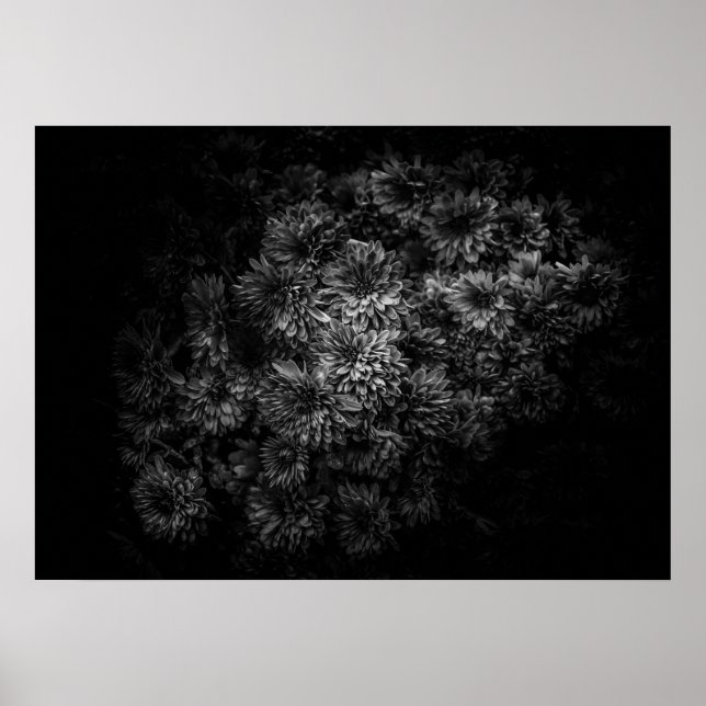 Backyard Flowers In Black And White No 29 Poster (Front)