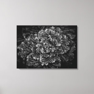 Backyard Flowers In Black And White No 42 Canvas Print