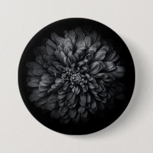 Backyard Flowers In Black And White No 68