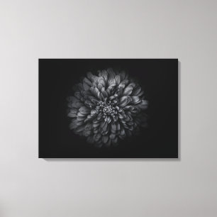 Backyard Flowers In Black And White No 68 Canvas Print
