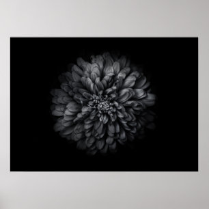 Backyard Flowers In Black And White No 68 Poster