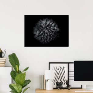 Backyard Flowers In Black And White No 68 Poster