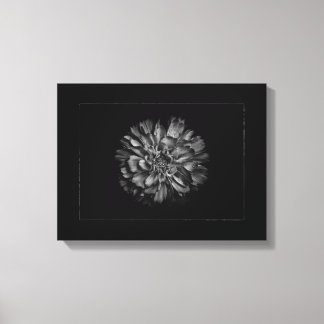 Backyard Flowers In Black & White No 79 Border Canvas Print