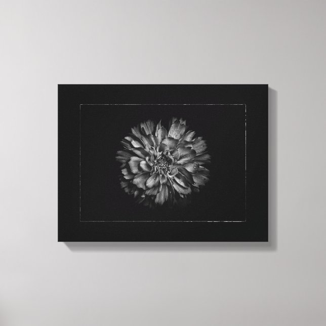 Backyard Flowers In Black & White No 79 Border Canvas Print (Front)