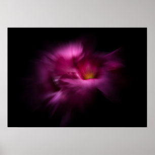 Backyard Flowers No 2 Color Flow Version Poster