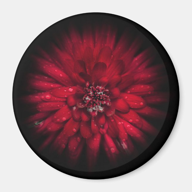 Backyard Flowers No 45 Colour Flow Version Magnet (Front)