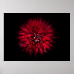 Backyard Flowers No 45 Colour Flow Version Poster