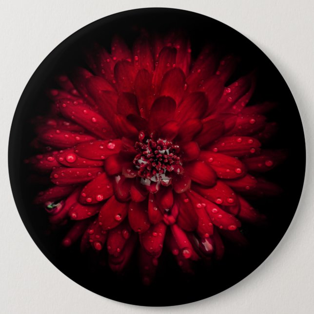 Backyard Flowers No 45 Colour Version 6 Inch Round Button (Front)