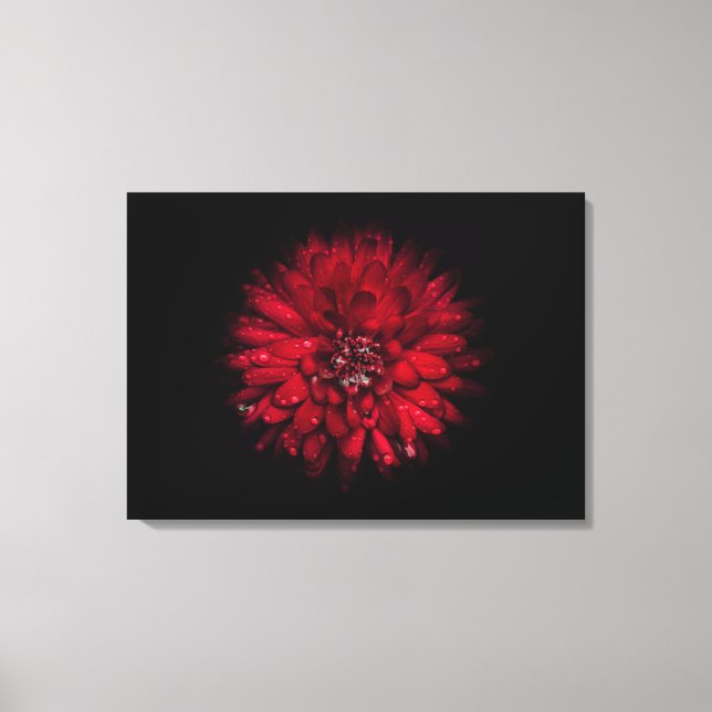 Backyard Flowers No 45 Colour Version Canvas Print (Front)
