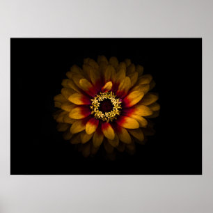 Backyard Flowers No 69 Colour Version Poster