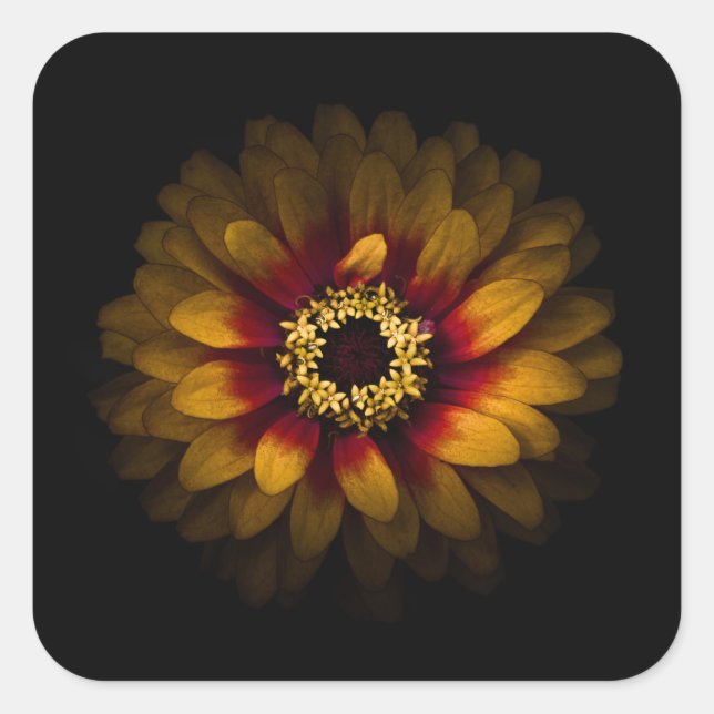 Backyard Flowers No 69 Colour Version Square Sticker (Front)