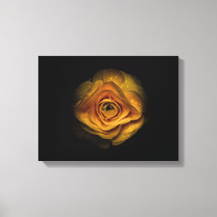 Backyard Flowers No 74 Colour Version Canvas Print