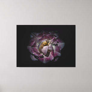 Backyard Flowers No 81 Colour Version Canvas Print