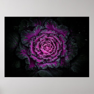 Backyard Flowers No 99 Colour Version Poster