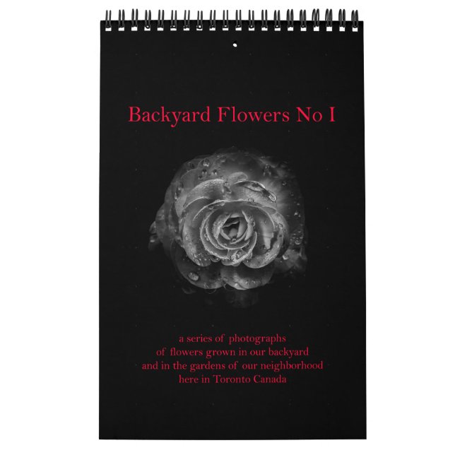 Backyard Flowers No I Calendar (Cover)