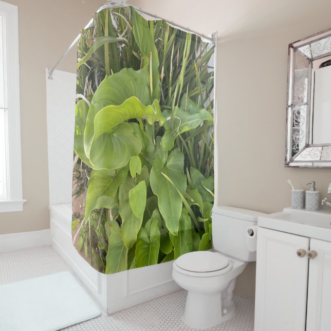 Backyard Garden Closeup Outdoor Nature Photo (In Situ)