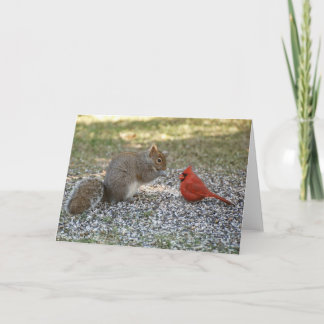 Backyard Gossip Card