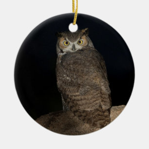 Backyard Great Horned Owl Ceramic Ornament