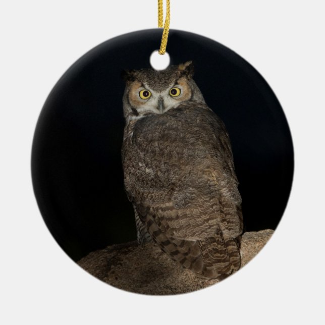 Backyard Great Horned Owl  Ceramic Ornament (Front)