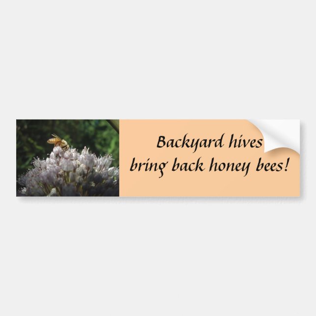 Backyard hives bring back honey bees! bumper sticker (Front)