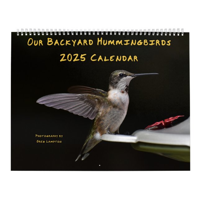 Backyard Hummingbirds 11” x 14.25” Calendar (Cover)