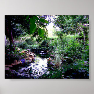 Backyard Pond Poster