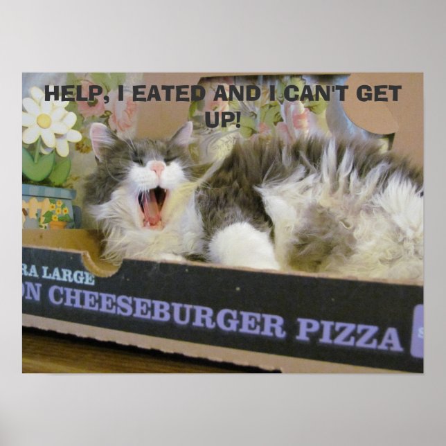Bacon Cheeseburger Pizza Overdose Kitty Poster (Front)