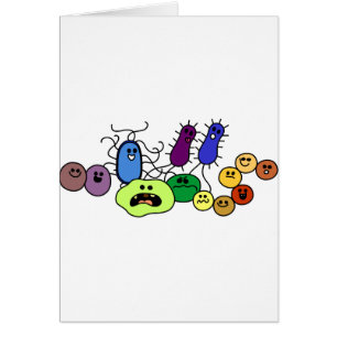 Bacteria