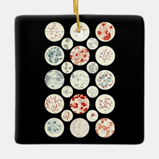 bacteria funny microbiology bacteria science tiny ceramic ornament (Front)